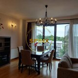 View to Kiseleff Park, 3 room apartment with garage. Pet friendly